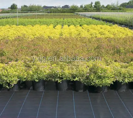 Прямая поставка с завода высококачественный коврик-убийца травы для сельского хозяйства