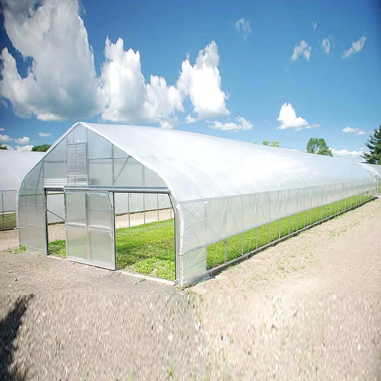 Single-Span Greenhouse hydroponics  Tunnel Plastic Film Cover Galvanized Steel Frame single  span greenhouse