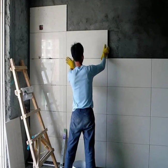 Building Material Polymer Emulsion/Vae