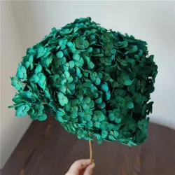 Dried Hydrangeas for home decorations for Christmas dried flowers