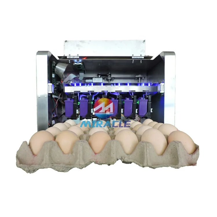 Clear egg date inkjet printer printing machine cartridge