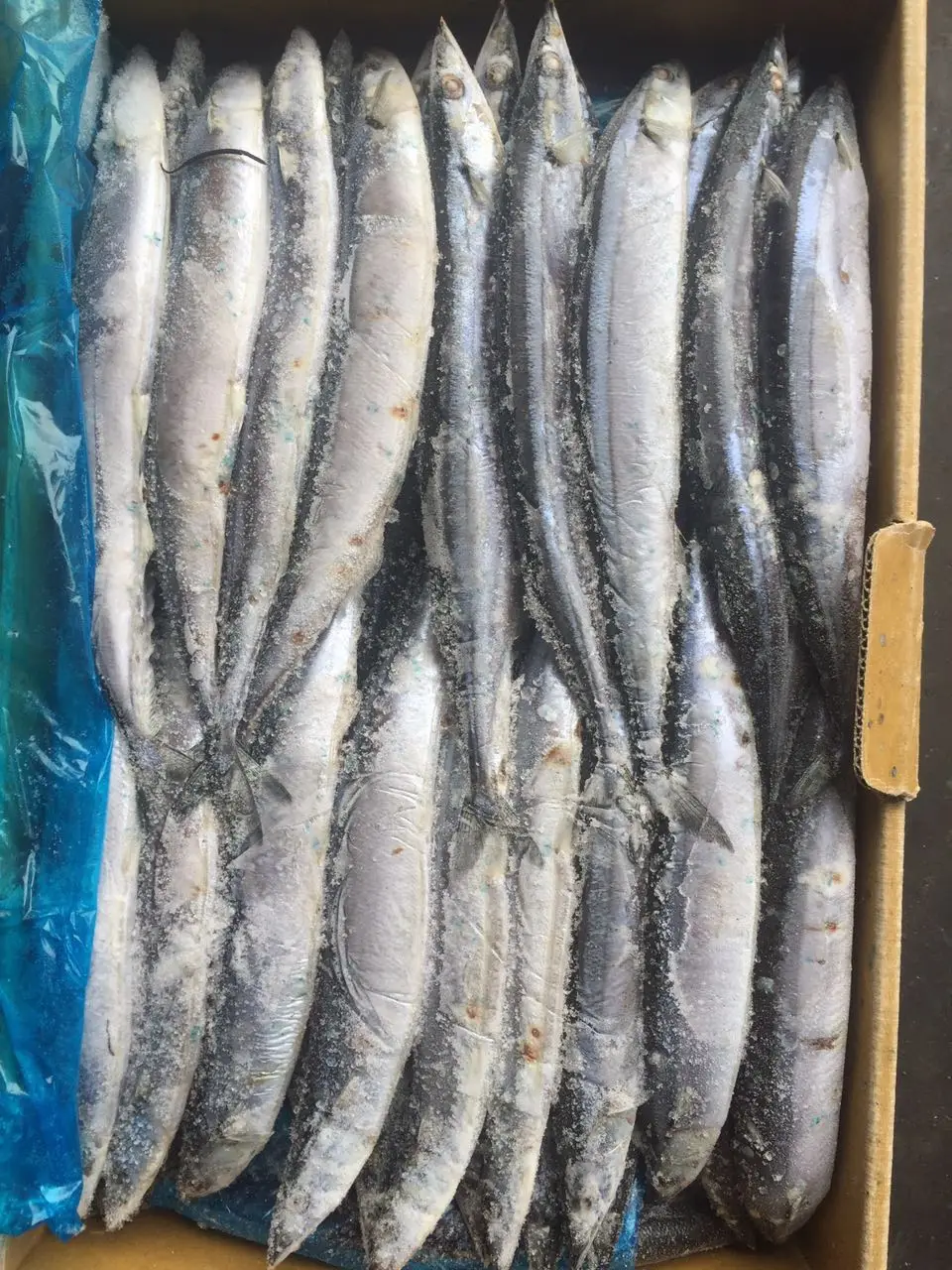 
Wholesale Cheap Seafood Fish Frozen Pacific Saury 