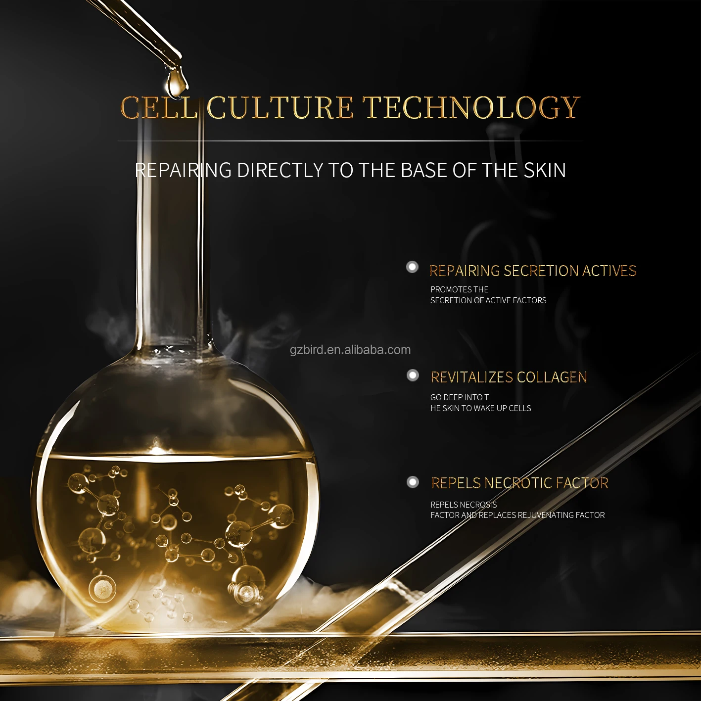 OEM Customized High-End Face Anti-Wrinkle Essence Cellular Youth Freeze Age Liquid Bottom Lifting Whitening Skin Care Products