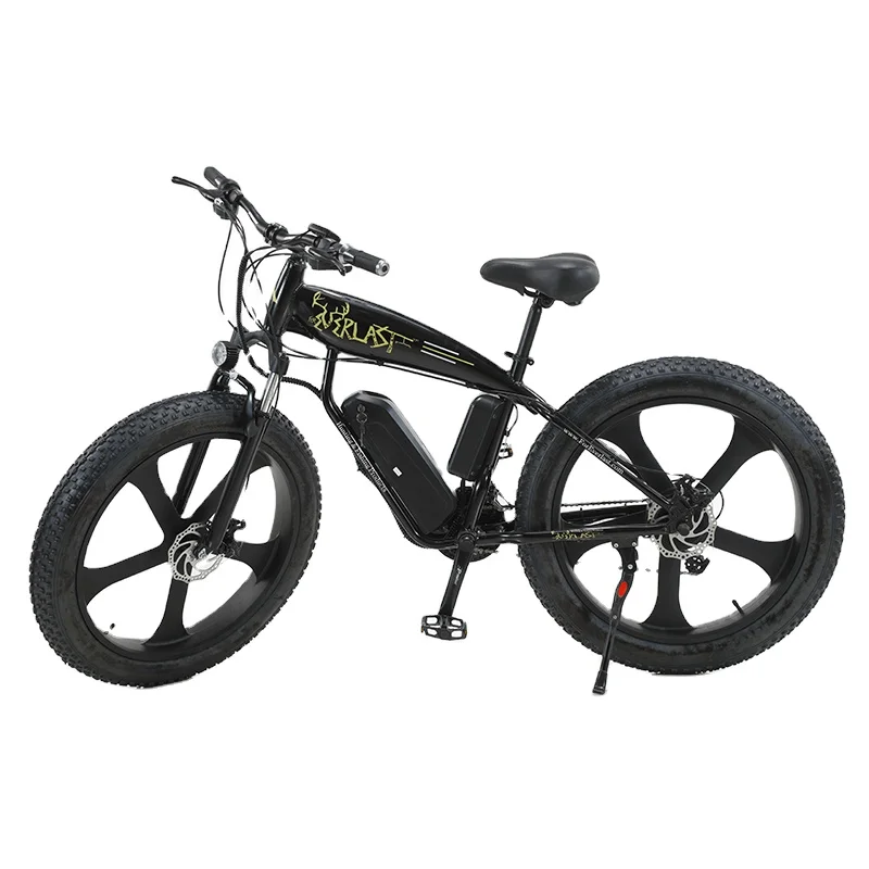Cheap Wholesale 26 inch 750W 48v Fat Tire Electric Mountain Snow Bike Power Motor Electric Bicycle(old) 21 Speed City e Bikes