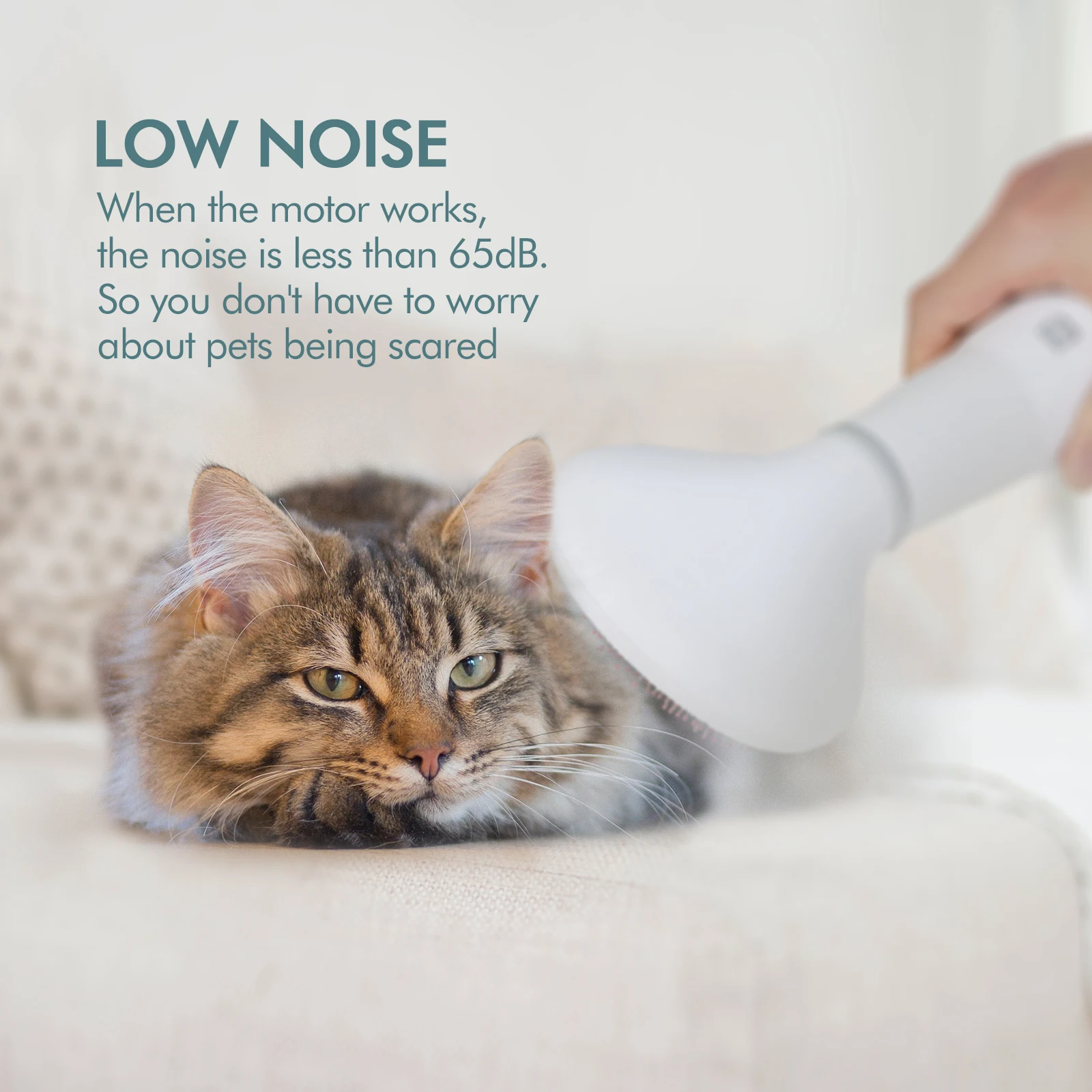 the hot sale 2 Temperature Grooming Comb Dog Cat 300w Electric Air Comb pet hair dryer