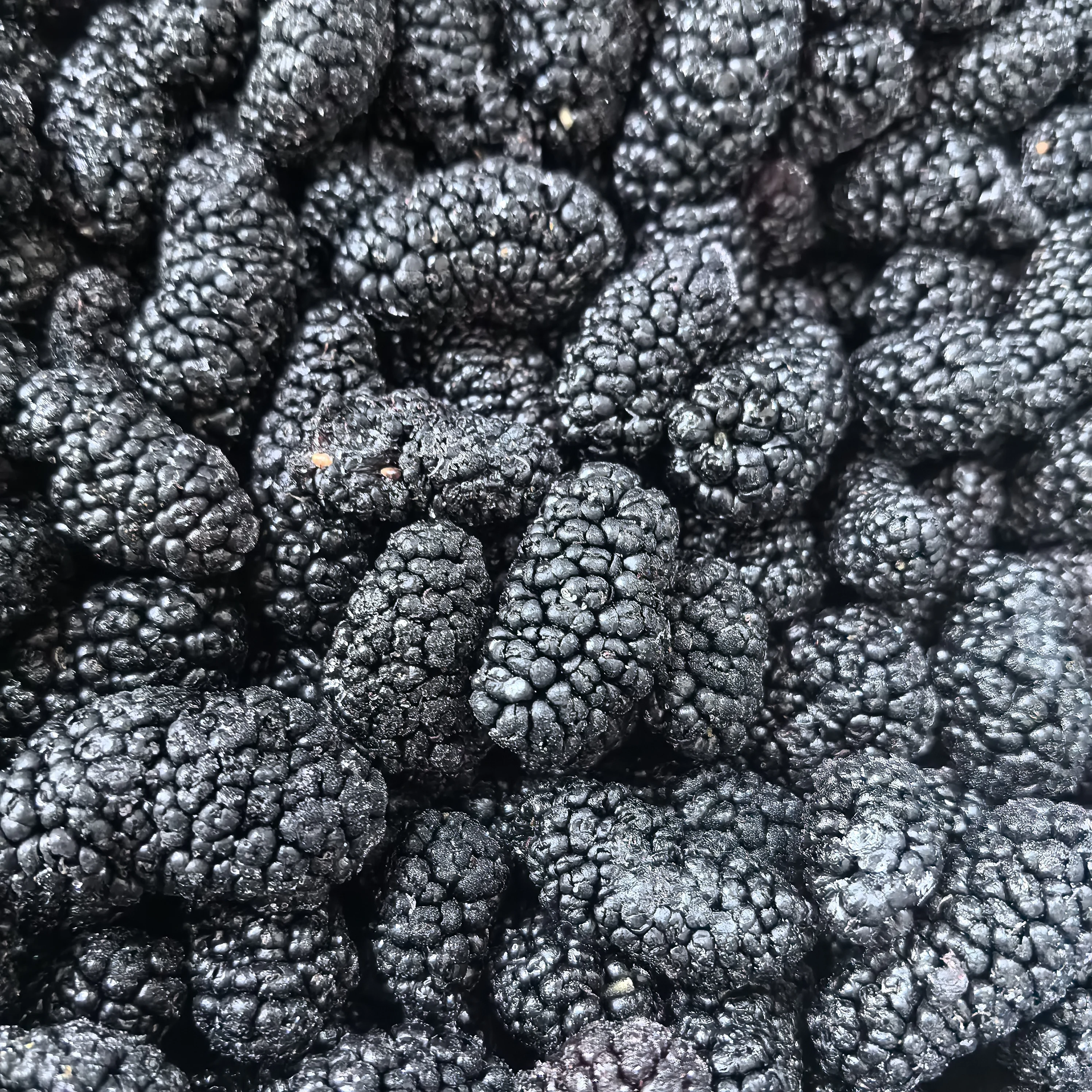 Hot Selling Frozen Fruits Frozen Mulberries IQF Mulberries Frozen Black Mulberry