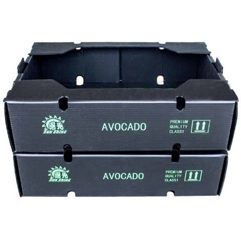 Polypropylene Danpla Sheet Correx Protection Board Polyflute Sheets Corrugated Plastic Packaging Boxes