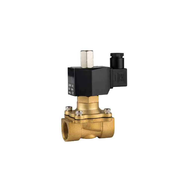 2 Inch 1 inch 12V DC 2W Brass solenoid valve normally open SS304 SS316 Submersible Solenoid Valve