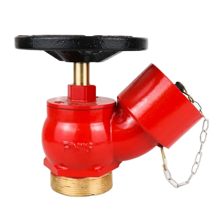 
High Quality 2.5 Inch Male Thread Bs336 Oblique Brass Landing Valve Fire Hydrant 