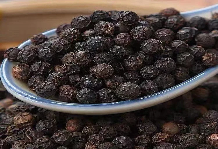New crop Wholesale Chinese dried spices and herbs seasoning black peppercorns black pepper