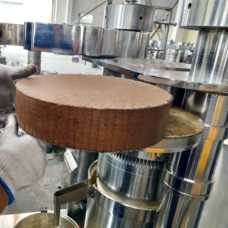 Oil Press for Sale in Morocco Hemp Seed Oil Press Machine Cold Press Oil Extraction Machine