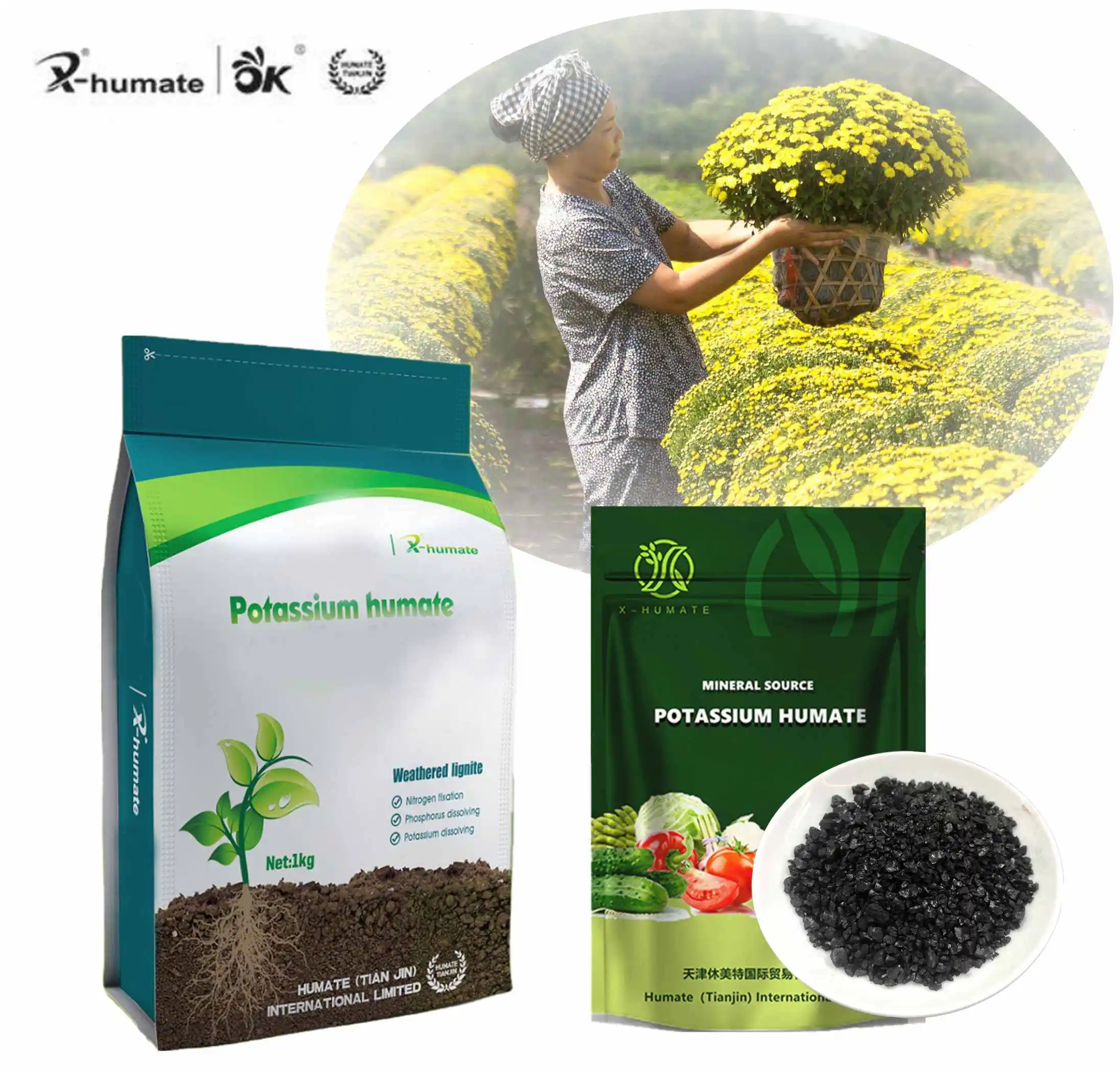 X-humate Fertilizante organico de humato de potasio granular