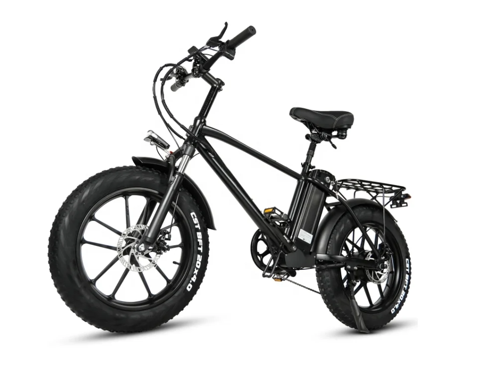 20 Inch Fat Tire 750W Motor Ebike 18Ah Lithium Battery Ebike Electric Mountain Ebike For Adult Electric Bicycle
