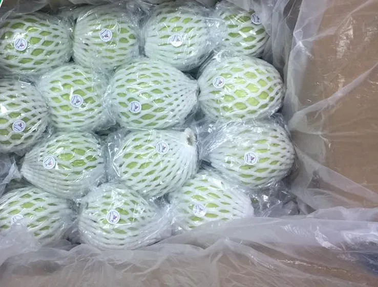 
HOT 2020 wholesale fresh guava Vietnam for sales 