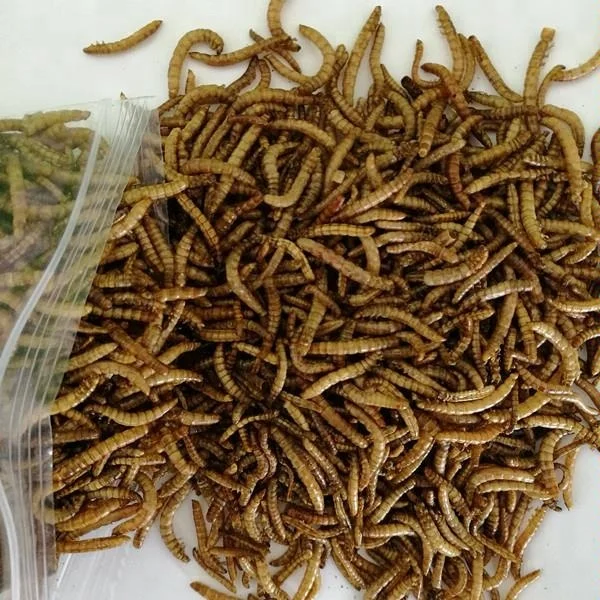 Dried Mealworms Wild Garden Bird Feed Food Meal Worm Chicken Reptile Fish 225g