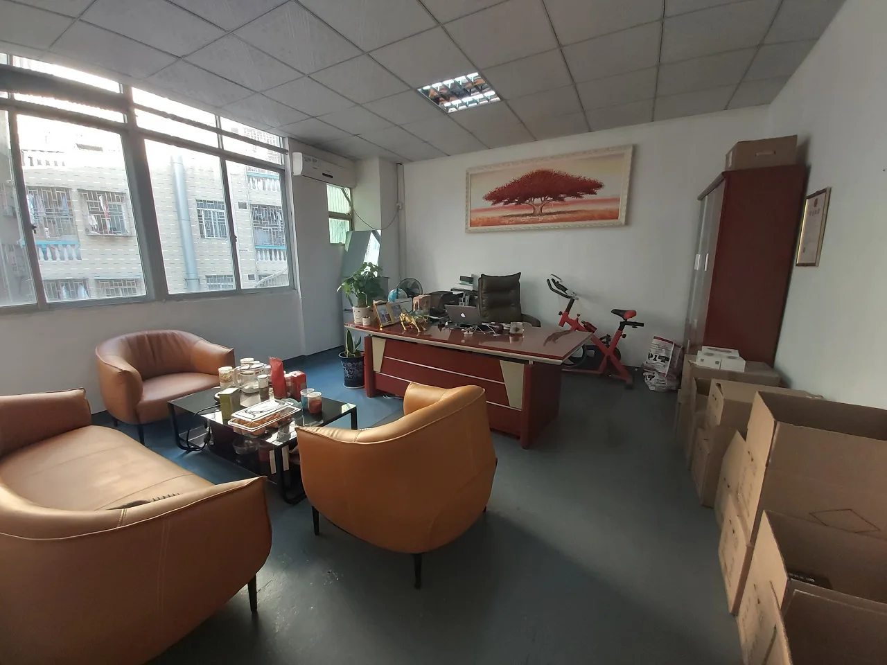 Scalp tester Scalp microscope camera 3.0MP magnification 600 times hair follicle analysis