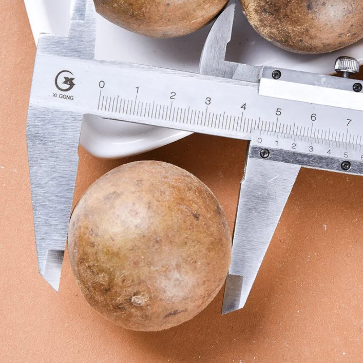 Factory Wholesale Price Dried Big Monk Fruit Dry Luo Han Guo Origin of Monk fruit supply