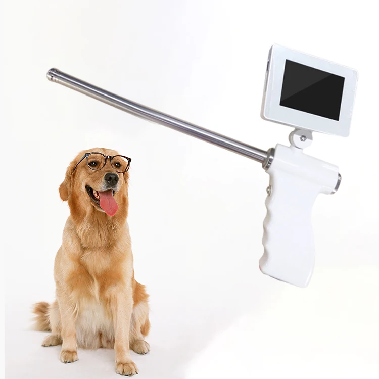 Pig Cow Dog Animal Veterinary Artificial Insemination Gun with Camera Visual Insemination Gun for Pigs