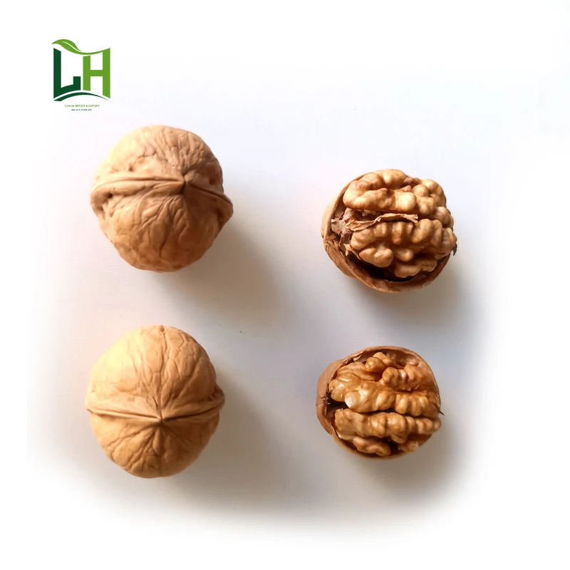 Crop Factory Walnut Inshell Xinjiang Paper Walnut Nuts 185 Washed Walnut