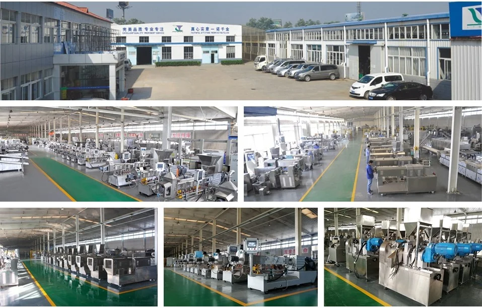 Hot Sale Screw Extruder Enriched Nutritional Fortified Rice Extruder Machine