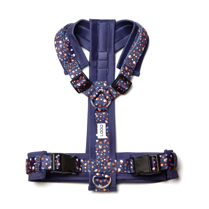 Step In Padded H/Y Shape Dog Harness Manufacturer Customize Logo Colors Adjustable Pet Harness Leash Set