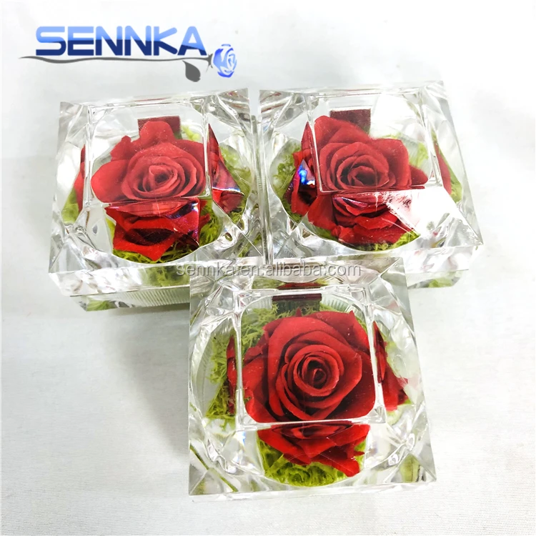 
Wholesale High Quality Preserved Everlasting Ring Box Preserved Rose For Wedding  (60756316971)