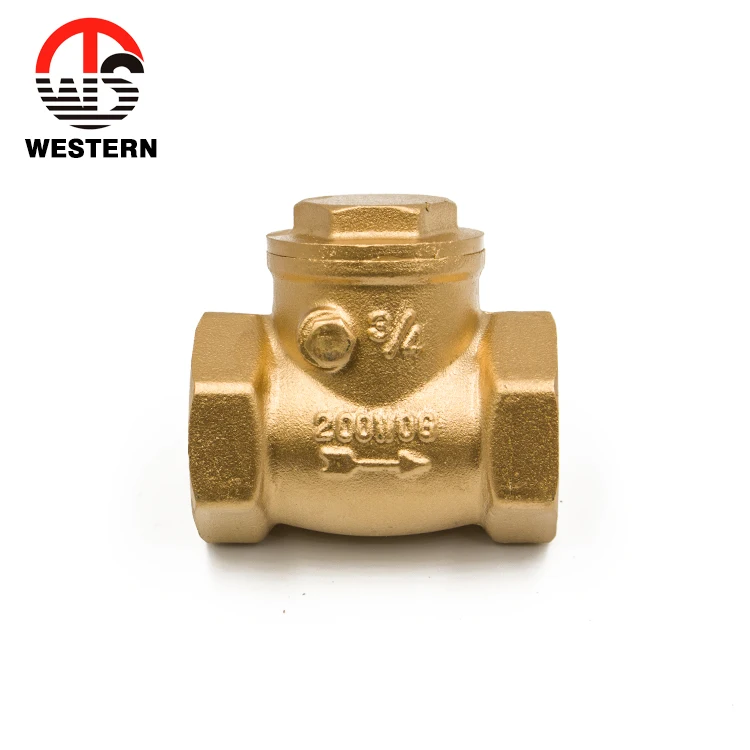 
Chinese Manufacturer Brass Spring PN20 Swing Check Valve 