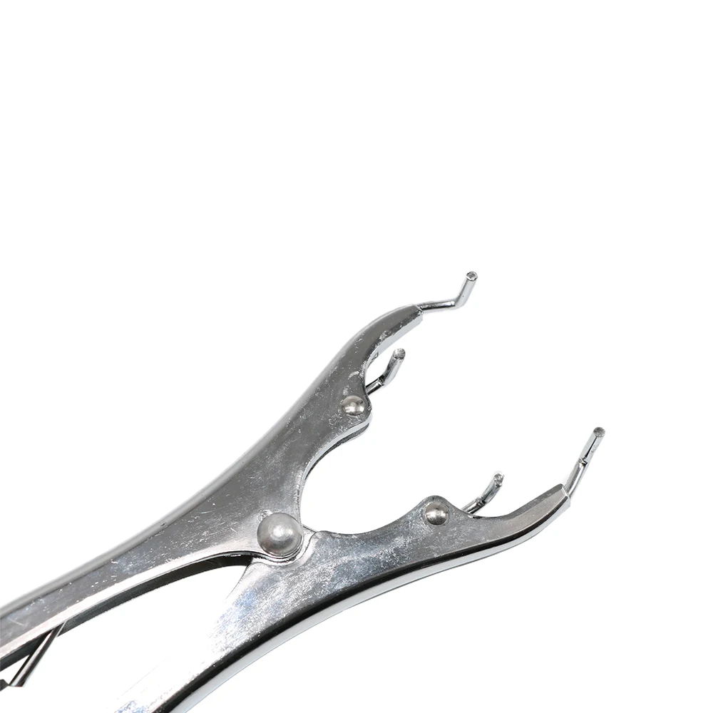 Dilating Forceps Pig Sheep Plier Bloodless Broken Castration Tail Clippers
