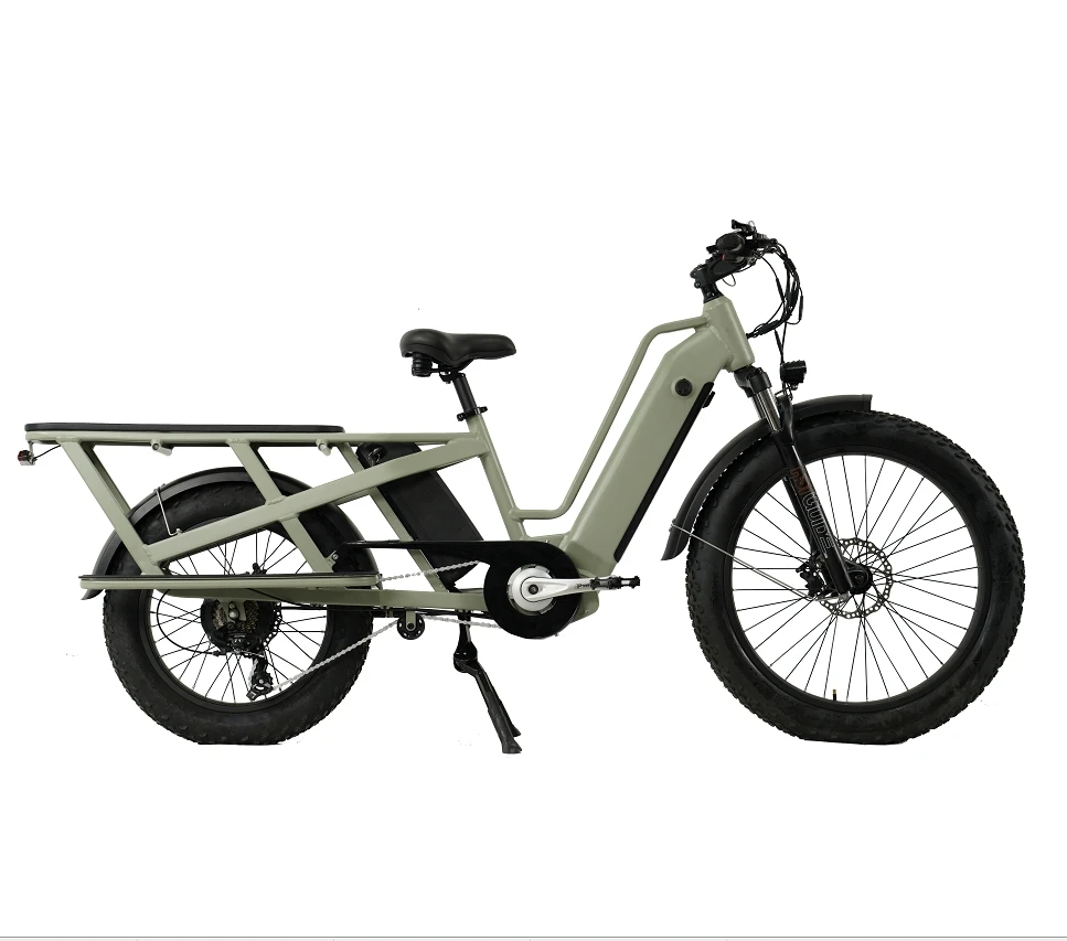 1000W 500W Electric bike cargo long range long tail with cargo bike dual battery for family use