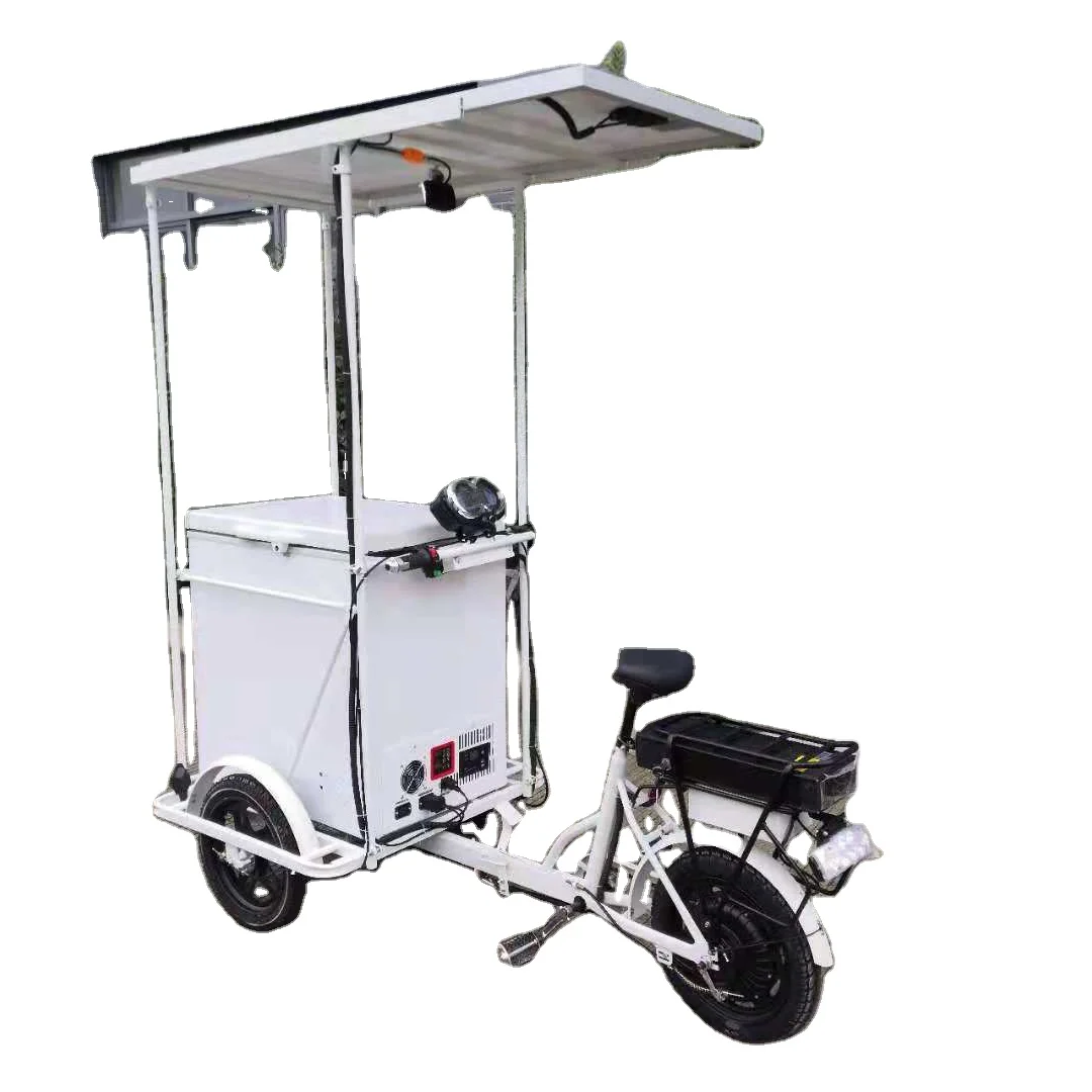 BD/BC-118  118liter solar freezer with electric tricycle Built-in battery solar ice cream tricycle sell ice cream mobile shop