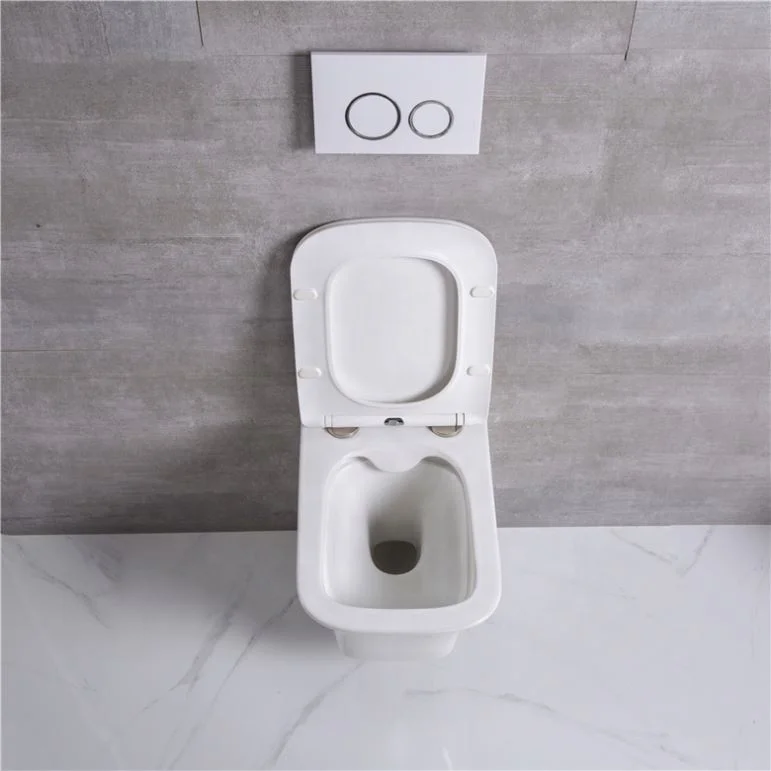 European inodoro ceramic wc wall mounted toilets  with bidet function