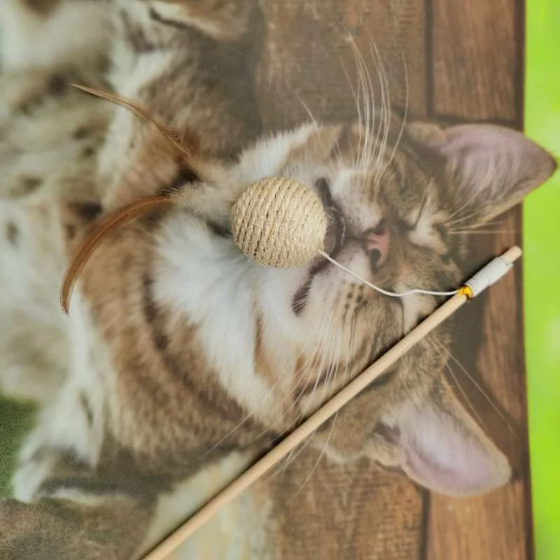 
2020 Manufacture Sisal Funny Wood Interactive Cats Toys Pet Products with Feather 