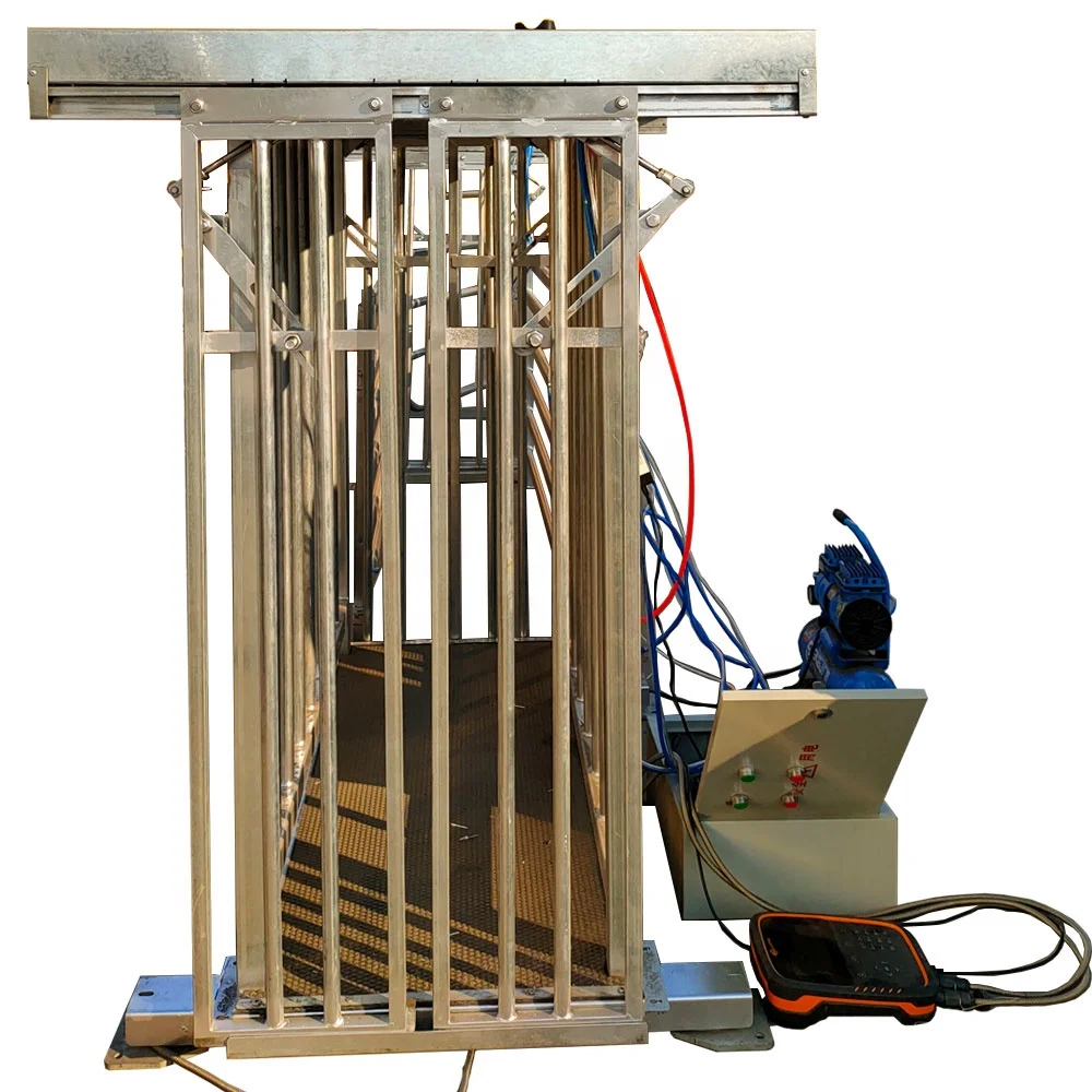 livestock farm equipment full automatic sheep/goat weighing group divider
