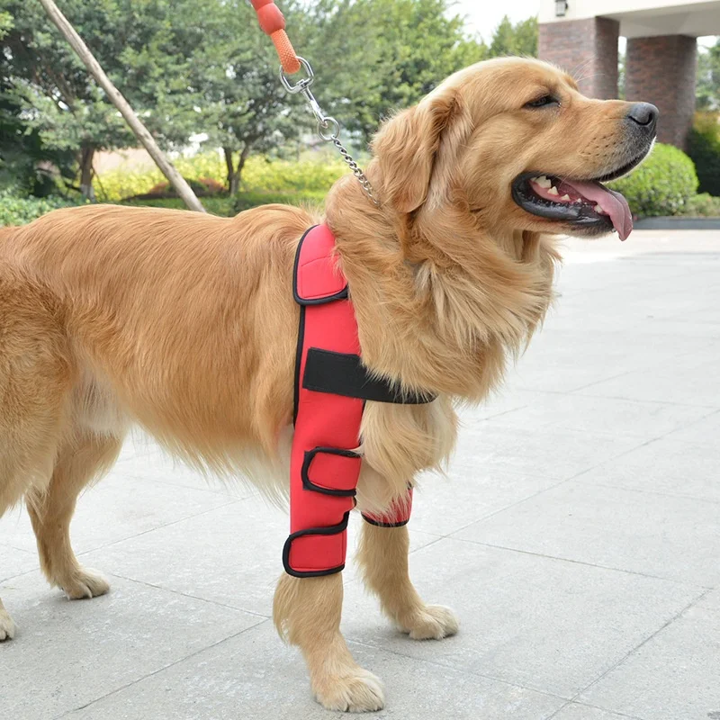 New design dog shoulder brace front leg canine elbow protector prevents injuries