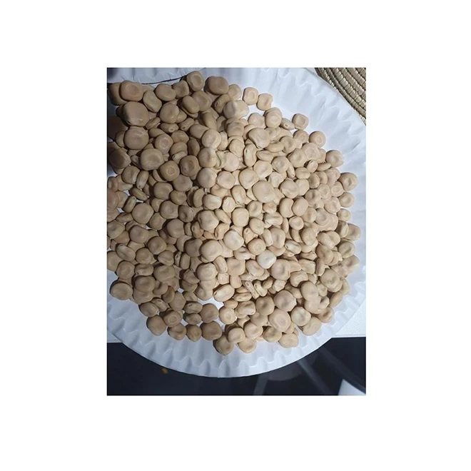 Delicious Low Price Healthy High Quality  And Hot Selling Ethiopia Lupin Beans For Wholesale