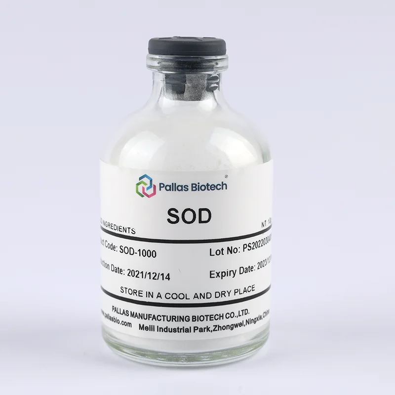 Superoxide dismutase helps break down potentially harmful oxygen molecules in cells