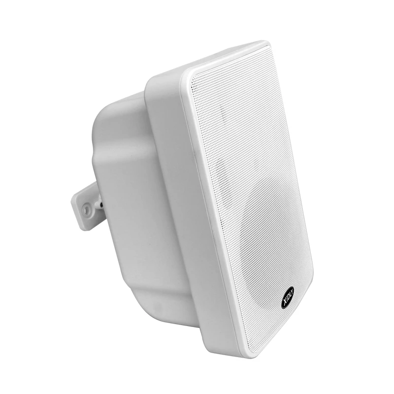 XIDLY-Hot Sale 100V Multiple Loudspeakers 8 Ohm Input Pa Sound Speaker Wall Mounted Speaker