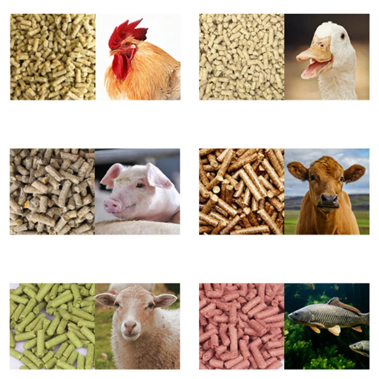 Multifunctional Animal Chicken Pellet Machine/ Crusher Pellet Animal Process Poultry Extruder Fish Feed Granulator