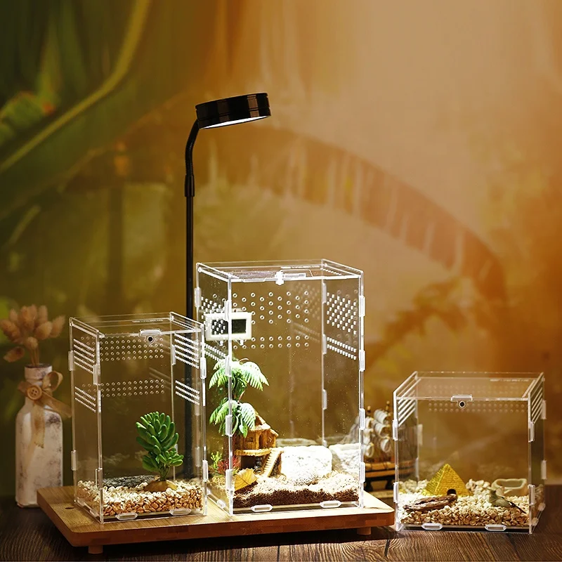 Reptile Small Plastic Feeding Box Terrarium,Reptile Travel Habitat Box For Gecko Frog Spider Snake Baby Lizard