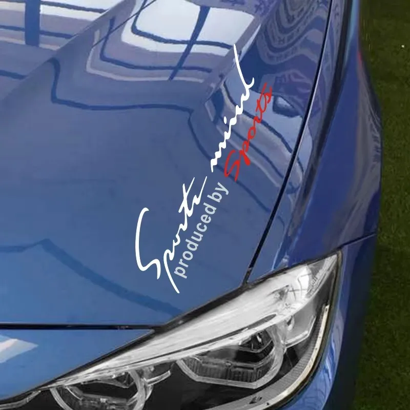 RTS Car headlight eyebrow stickers decorative personality black large sport car stickers hood hollow transfer stickers