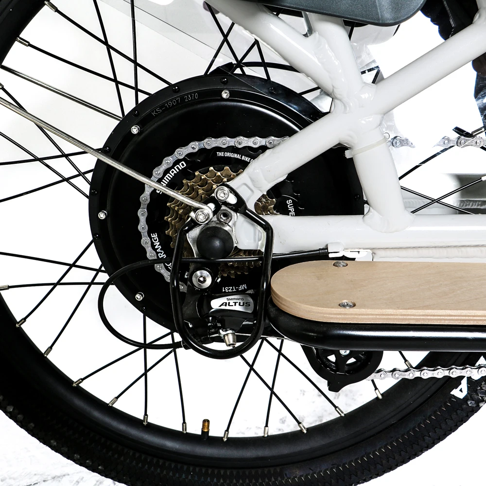 BTN 48V750W MAX-CARGO Drop Shipping family Wagon or Ubereats delivery Using long trail 2 Wheel Electric Cargo