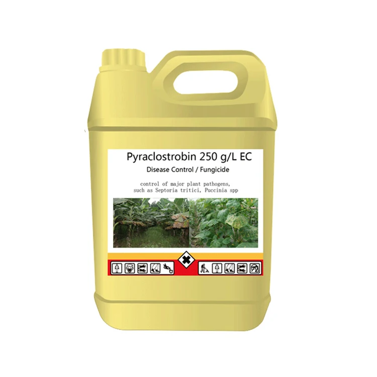 Быстрая доставка, защита сельскохозяйственных культур, бактерицид пираклостробин 250 г/л, производитель EC