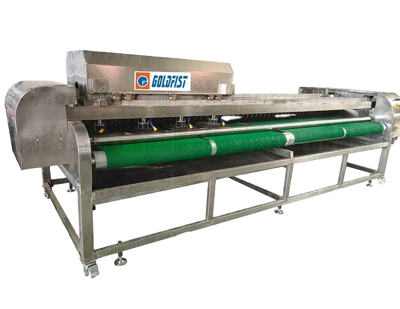 Carpet washing machine the most hottest selling in SA, UAE and OMAN automatic washing machine