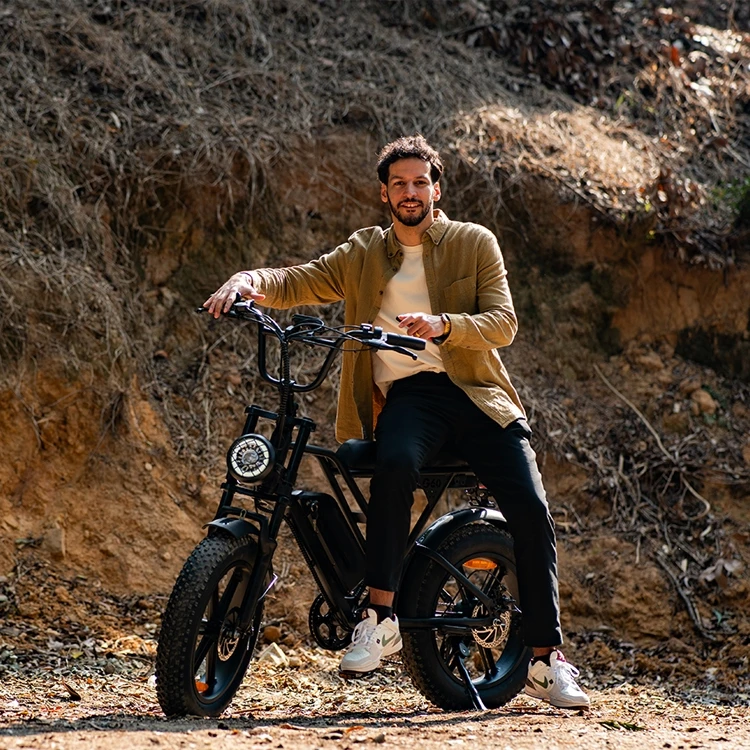 dynavolt lithium battery 48V 20 inch electric bike electric bike 1000W motor cycles