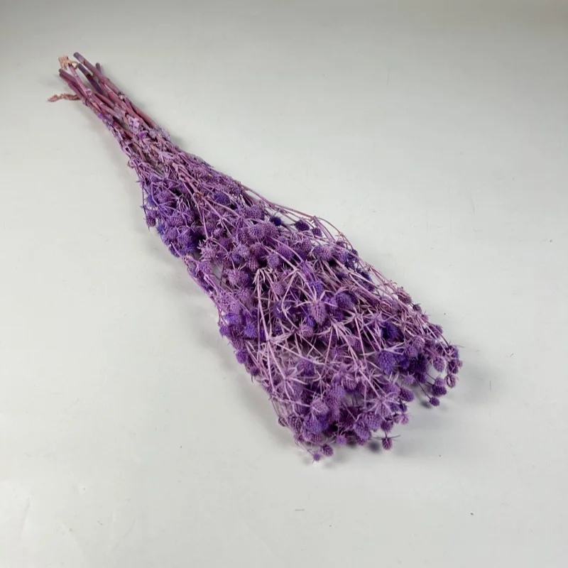 Long lasting preserved flower preserved sea holly bouquets for wedding decoration