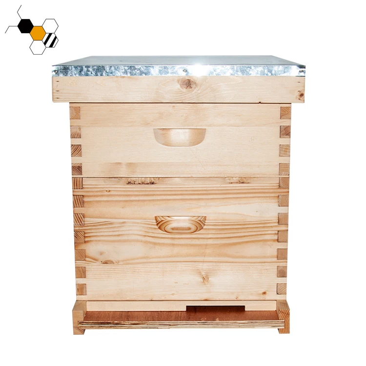 10 Frame Two Layer Bee Box Langstroth Beehive