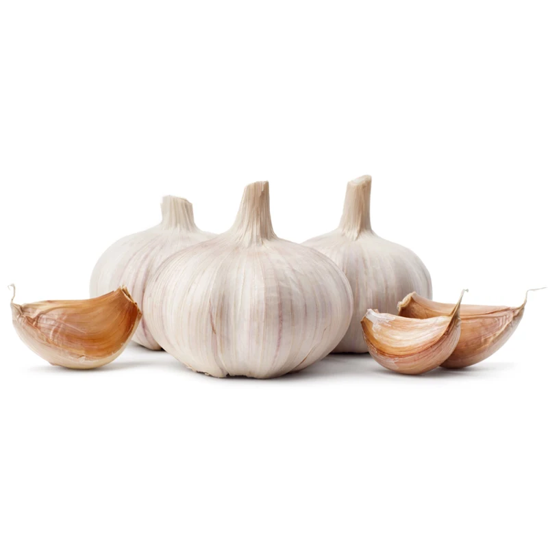 
Best Price Top Quality Normal White Pure White Fresh Wholesale Garlic from Jinxiang 