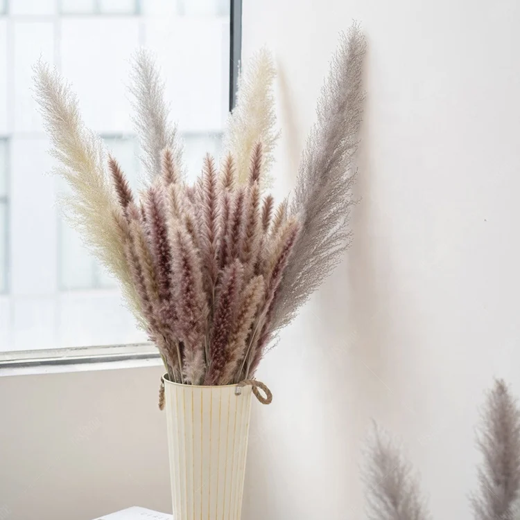 Hot Sale Small Flower Pampass Grasses Decor Wedding Pampas Grass Dried Flowers