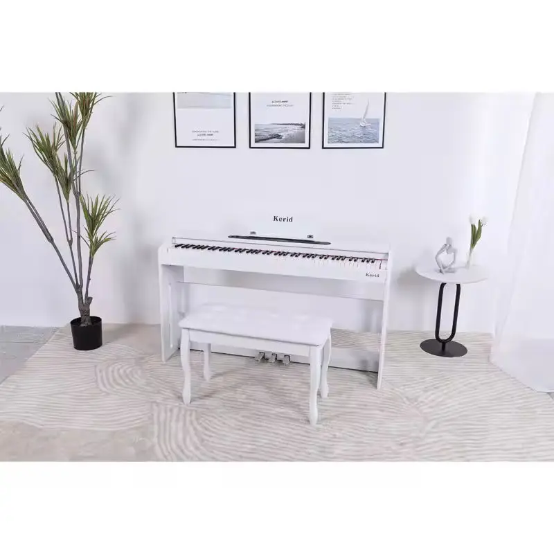 Hot Sales Professionnel digital piano 88 weighted keys fashion design instrument keyboard durable self playing Digital Piano