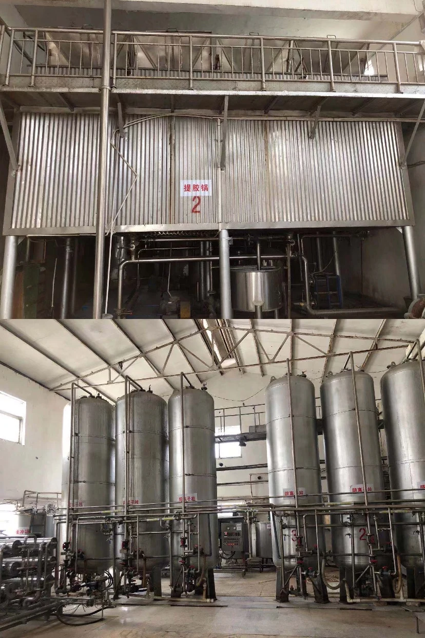 Wholesale Chinese Supplier High Quality Food Grade Thickeners Gelatin 250 Bloom